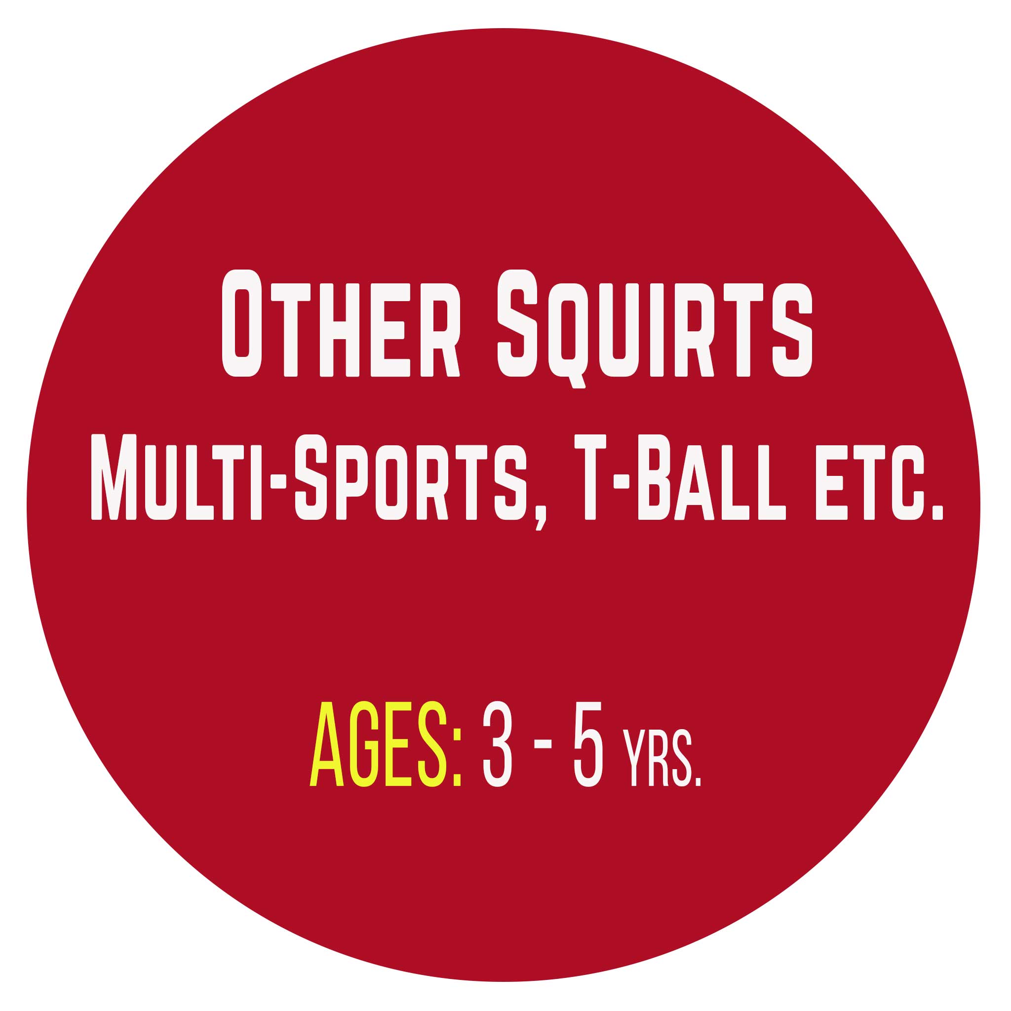 MultiSports, TBall & Other USA Sport Group